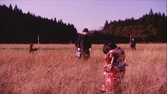 死者田园祭,探寻死者背后的神秘传说