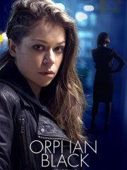 灵媒缉凶 第六季,揭秘超自然之谜，灵媒侦探再战邪恶势力